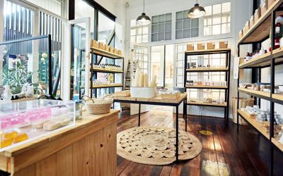 La Potion Miracle : Comment les Algues Marines Révolutionnent la Beauté